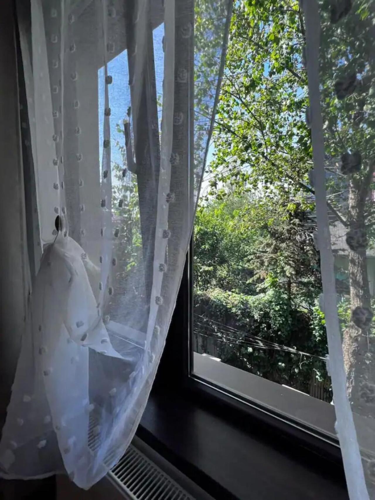 Vila Luminoasa Cu Curte Privata Βουκουρέστι Εξωτερικό φωτογραφία